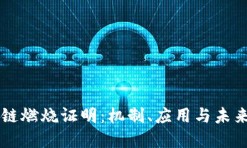 区块链燃烧证明：机制、应用与未来展望