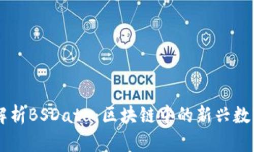深入解析BSData：区块链中的新兴数字货币