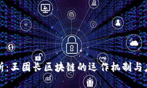 深度解析：王团长区块链的运作机制与应用前景