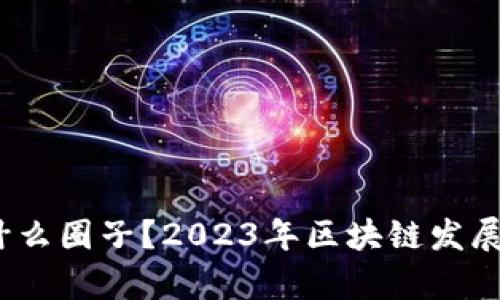深入探讨：区块链是什么圈子？2023年区块链发展现状与未来趋势分析