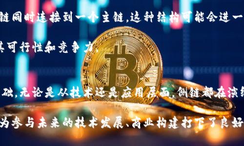 区块链的侧链是什么意思？深入探索侧链技术的5个关键点

区块链, 侧链, 技术, 加密货币/guanjianci

什么是侧链？
区块链的侧链，是一种与主链（主区块链）并行运行的区块链。它允许资产在主链和侧链之间进行转移，从而实现更高的灵活性和可扩展性。侧链的概念最早由比特币的创建者中本聪提出，而后得到了更为广泛的研究和应用。

侧链的基本原理
侧链的工作原理可以通过资产转移来解释。当用户希望将某种资产（如比特币）从主链转移到侧链上时，他们会在主链上锁定这些资产。在这个过程中，主链网络会确保这些资产不会被重复使用，而只是在旁支链的环境中进行交易。从侧链锁定回主链的过程也是类似的。这种锁定和解锁的机制让用户可以在两条链之间自由移动资产，同时确保了资金的安全。

侧链的优势
尽管侧链技术还在不断演进，但它已经展示出了一些显著的优势。其中之一便是其可扩展性。通过使用侧链，区块链项目可以在不影响主链的性能的情况下，进行更复杂的交易和智能合约。例如，某些项目可能希望在侧链上实现快速的交易确认，而不影响主链的安全和性能。

此外，侧链还允许进行实验性技术的开发。开发者可以在侧链上测试新功能、协议或其他技术，而不会对主链的稳定性和安全性造成风险。这不仅有助于技术的演进，同时还有助于吸引更多的开发者和项目进驻这个生态系统。

侧链的应用场景
目前，侧链的使用场景包括但不限于去中心化金融（DeFi）、数字资产的交易、数据存储和隐私保护等。在DeFi领域，侧链可以允许更多的金融产品和服务的设计，比如借贷协议和衍生品的交易。通过这些新产品，用户可以充分利用区块链的技术潜力，获取更多的金融服务选择。

另外，某些侧链还专注于实现数据隐私的保护。例如，某家公司可能在侧链上开发了一套数据隐私协议，让用户在交易过程中可以保持他们的数据私密。这种技术的演变，将使得无数的商业应用能够在区块链之上建立，进而影响传统行业。

侧链与主链的关系
尽管侧链与主链是相互独立的两条链，但它们之间的关系是密切而复杂的。主链通常被视为整个生态系统的“脊梁”，负责安全和信任的建立；而侧链则为各种应用提供灵活性和创新的空间。随着区块链技术的发展，想象一下未来的区块链生态系统：主链将负责整体安全，而侧链则为不同的用例开发提供服务。

未来的发展趋势
随着区块链技术的进一步成熟，侧链的概念也在不断演化，很多项目开始探索更为复杂的侧链模型。例如，一些团队正在探索多侧链的解决方案，允许多个侧链同时连接到一个主链。这种结构可能会进一步提高区块链的扩展性和互操作性，允许不同的区块链系统之间进行无缝交流。

从技术角度来看，侧链的开发依然需要更多的实际应用和安全性验证。尽管许多研究者和开发者对此充满热情，但只有通过实际的市场测试，才能真正验证其可行性和竞争力。

结论
侧链作为区块链技术的重要组成部分，正在慢慢改变传统的区块链应用模式。通过提供灵活的资产转移和更高的可扩展性，侧链为多个领域的创新打下了基础。无论是从技术还是应用层面，侧链都在演绎着区块链生态的新篇章。随着对侧链技术的深入研究和更多实际应用的诞生，未来的区块链将展现出更加多元和丰富的面貌。

综上所述，对于有意深入区块链技术的个人或团队来说，理解侧链的工作机制、优势和应用场景无疑是必要的。这不仅能够提升对当前区块链技术的认知，也为参与未来的技术发展、商业构建打下了良好的基础。