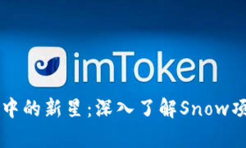 区块链技术发展中的新星：深入了解Snow项目及其应用前景