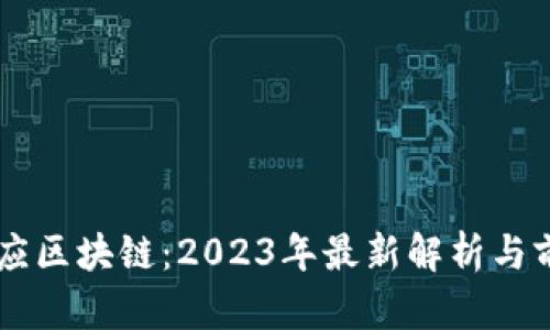 中央相应区块链：2023年最新解析与前景展望
