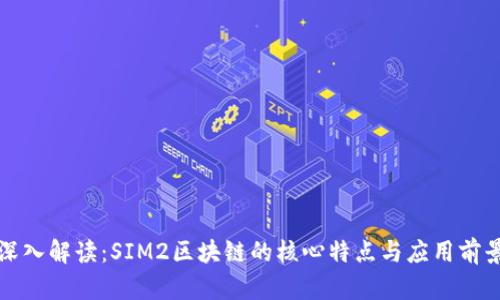 深入解读：SIM2区块链的核心特点与应用前景