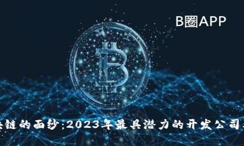 揭开兰州区块链的面纱：2023年最具潜力的开发公司及其应用实例