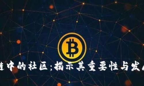 区块链中的社区：揭示其重要性与发展趋势
