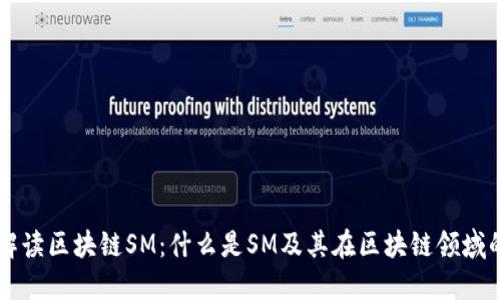 深入解读区块链SM：什么是SM及其在区块链领域的应用