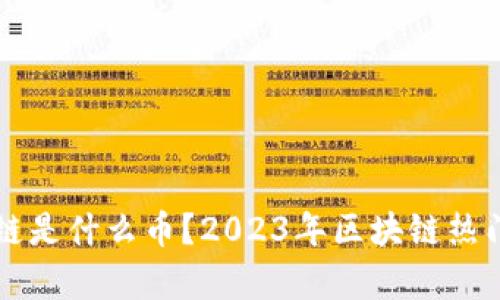 真正的区块链是什么币？2023年区块链热门币种大解析