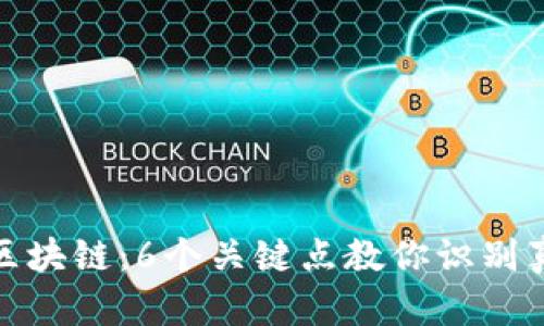 深入解读区块链：6个关键点教你识别真假区块链