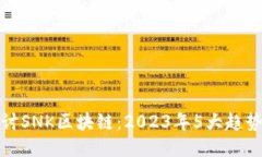 深入探讨SNK区块链：2023年