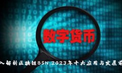 深入解析区块链BSN：2023年