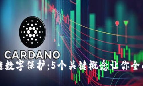 区块链数字保护：5个关键概念让你全面理解