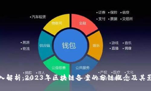 深入解析：2023年区块链备案的分链概念及其影响