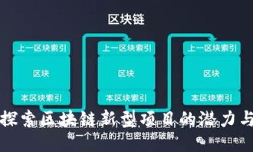 深入探索区块链新型项目的潜力与挑战