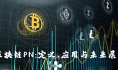 区块链PN：定义、应用与未