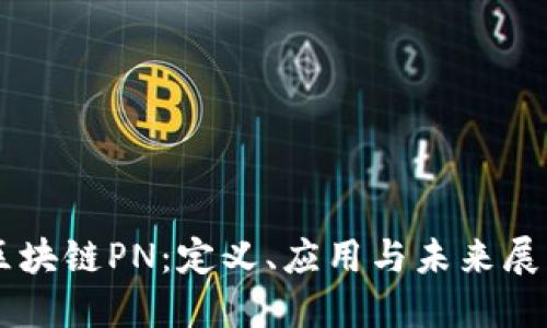 区块链PN：定义、应用与未来展望