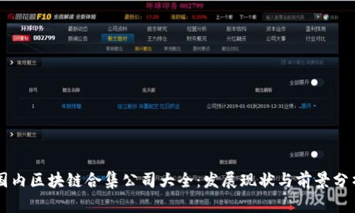 国内区块链合集公司大全：发展现状与前景分析