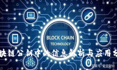 区块链公钥中的信息解析与应用分析