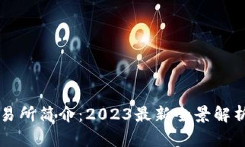 比特交易所简介：2023最新全景解析与指导