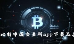 全面解析：比特中国交易