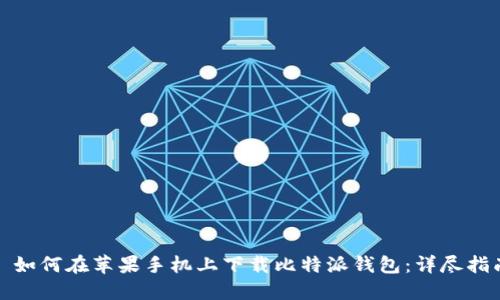 : 如何在苹果手机上下载比特派钱包：详尽指南