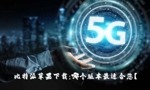 比特派苹果下载：哪个版本最适合您？