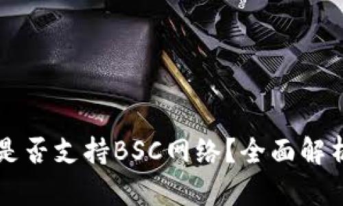 比特派钱包是否支持BSC网络？全面解析与用户指南