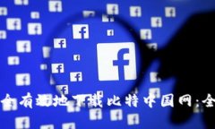 如何安全有效地下载比特