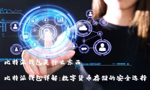 比特派钱包是什么东西

比特派钱包详解：数字货币存储的安全选择