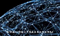 如何在iOS设备上下载和使