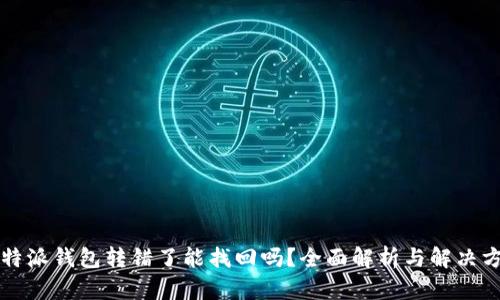 比特派钱包转错了能找回吗？全面解析与解决方案
