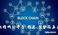 全面解析比特网站平台：
