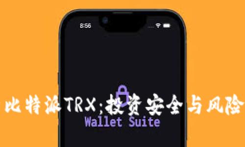全面解析比特派TRX：投资安全与风险管理指南