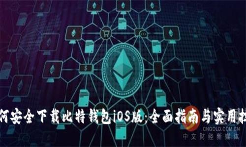 如何安全下载比特钱包iOS版：全面指南与实用技巧