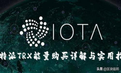 比特派TRX能量购买详解与实用指南