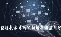 区块链技术中的公钥解析