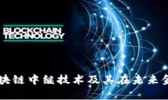 深度解析区块链中继技术及其在未来金融中的应