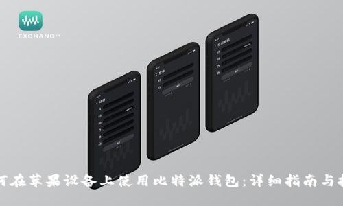 如何在苹果设备上使用比特派钱包：详细指南与技巧