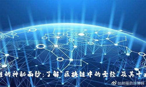 揭开区块链的神秘面纱：了解“区块链中的圣经”及其十大关键概念
