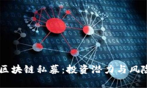 了解区块链私募：投资潜力与风险分析