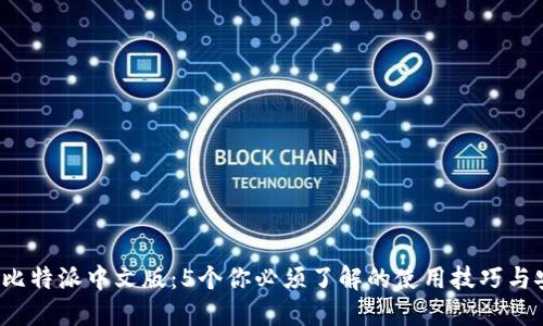 2023年比特派中文版：5个你必须了解的使用技巧与安全指南