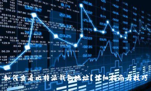 如何查看比特派钱包地址？详细指南与技巧