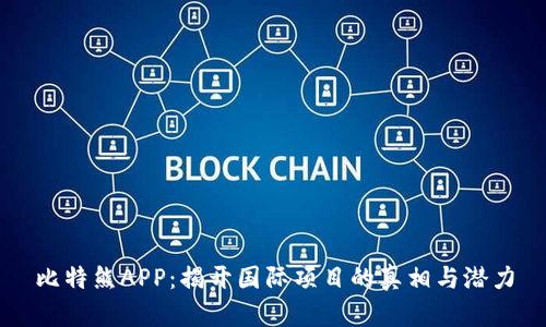 比特熊APP：揭开国际项目的真相与潜力