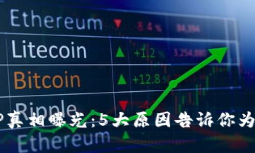 2023年比特矿场APP真相曝光：5大原因告诉你为什么它可能是个骗局