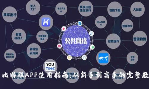 新比特股APP使用指南：从新手到高手的完整教程