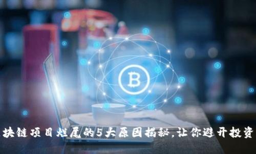 : 区块链项目烂尾的5大原因揭秘，让你避开投资陷阱