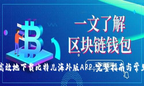 如何安全高效地下载比特儿海外版APP：完整指南与常见问题解答