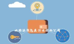 比特派钱包是什么样的公