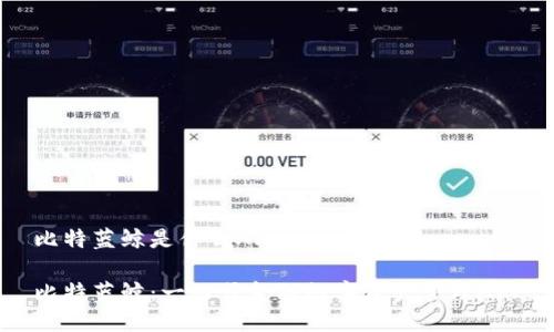 比特蓝鲸是什么APP

比特蓝鲸：一站式金融数字资产管理APP
