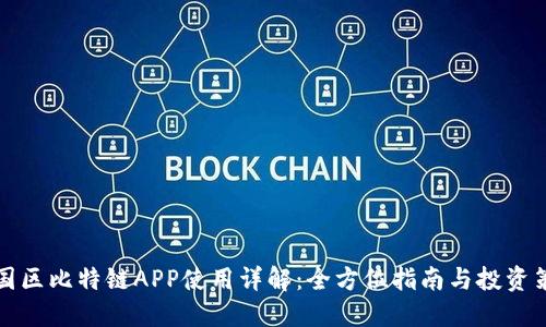 中国区比特链APP使用详解：全方位指南与投资策略